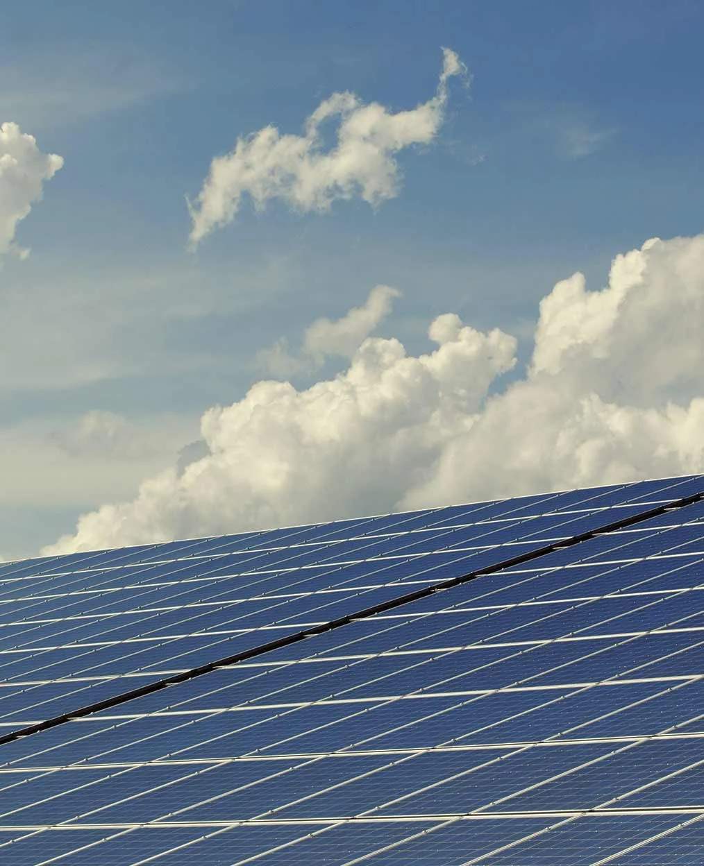 The Future in Renewable Energy blog post 2